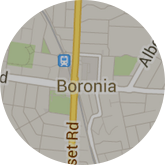 Boronia